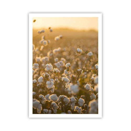 Poster - Fluffy Field - 70x100 cm