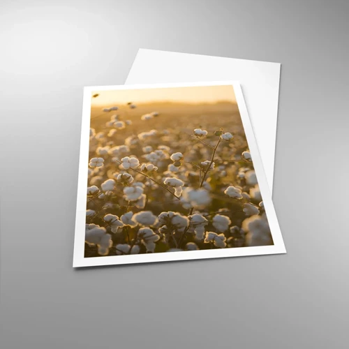 Poster - Fluffy Field - 70x100 cm