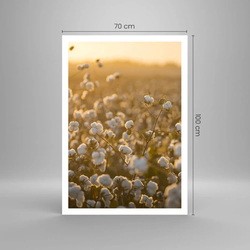 Poster - Fluffy Field - 70x100 cm