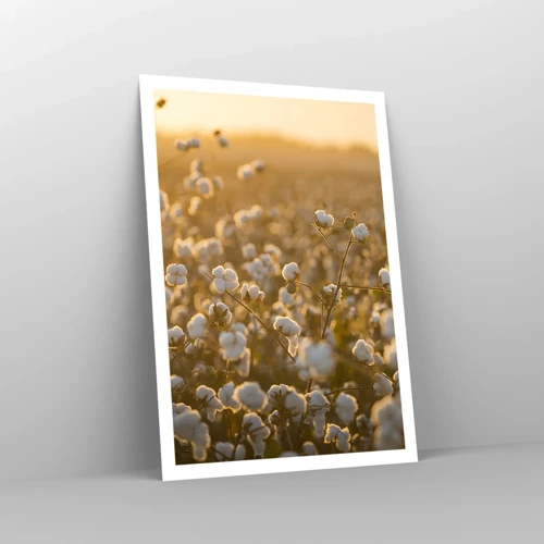 Poster - Fluffy Field - 70x100 cm