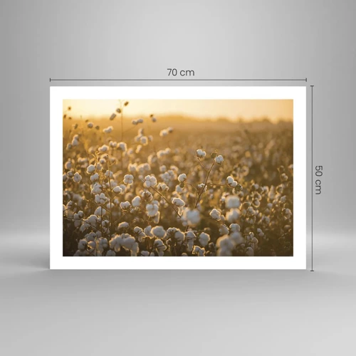 Poster - Fluffy Field - 70x50 cm