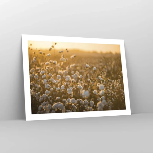 Poster - Fluffy Field - 70x50 cm