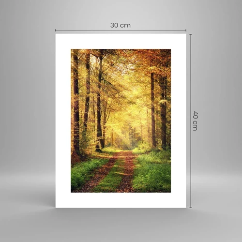 Poster - Forest Golden silence - 30x40 cm