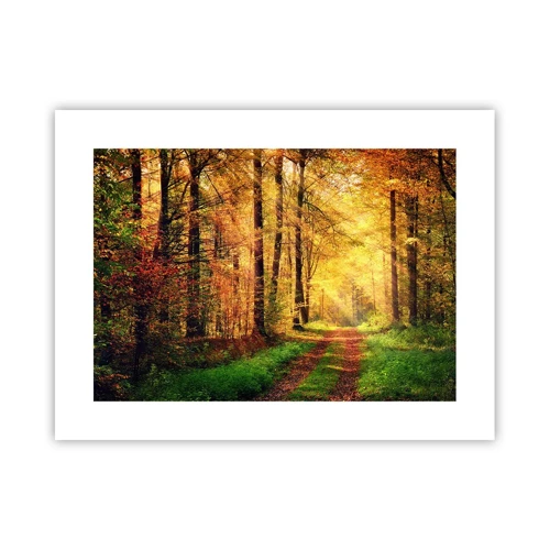 Poster - Forest Golden silence - 40x30 cm