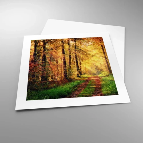 Poster - Forest Golden silence - 40x40 cm