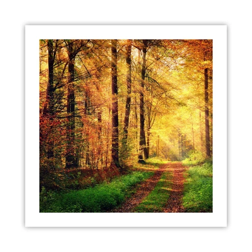 Poster - Forest Golden silence - 50x50 cm