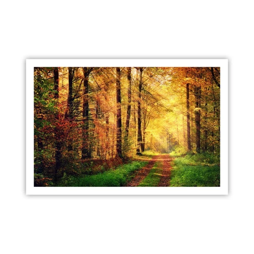 Poster - Forest Golden silence - 91x61 cm