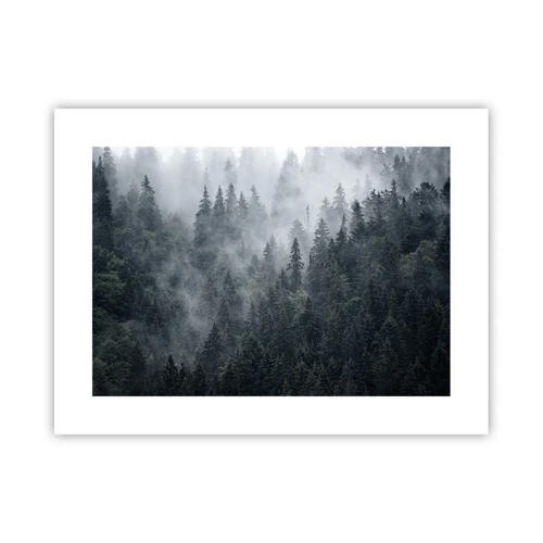 Poster - Forest World - 40x30 cm