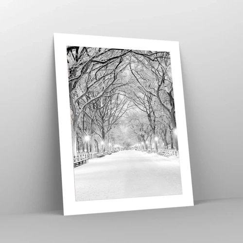 Poster - Four Seasons: Winter - 40x50 cm