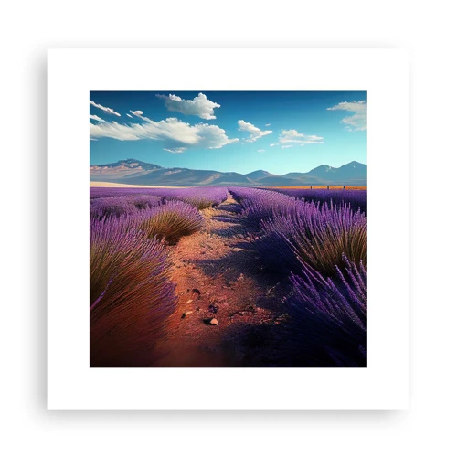 Poster - Fragrant Fields - 30x30 cm