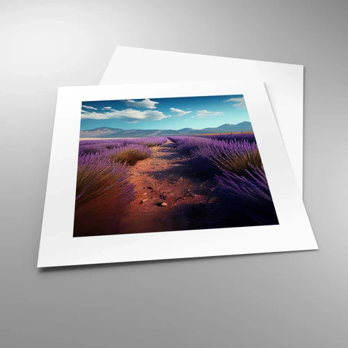 Poster - Fragrant Fields - 30x30 cm