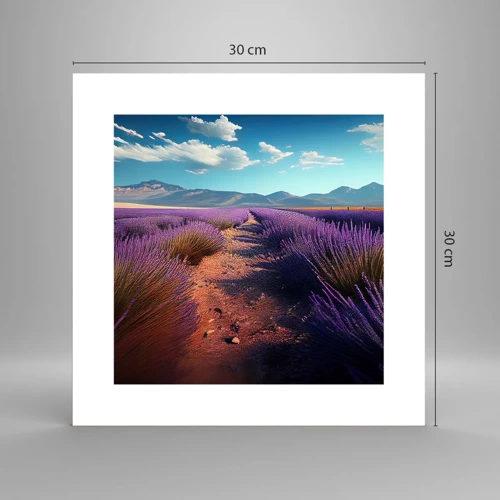 Poster - Fragrant Fields - 30x30 cm