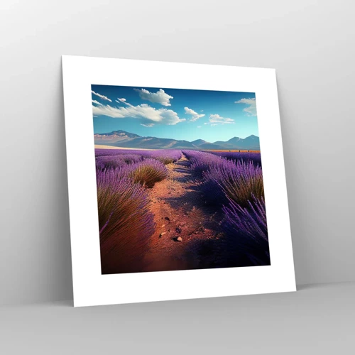 Poster - Fragrant Fields - 30x30 cm