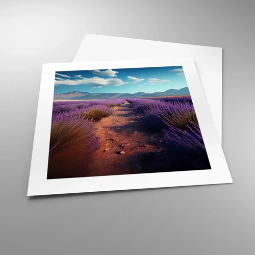 Poster - Fragrant Fields - 40x40 cm