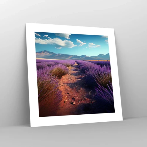 Poster - Fragrant Fields - 40x40 cm