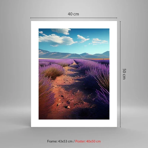 Poster - Fragrant Fields - 40x50 cm