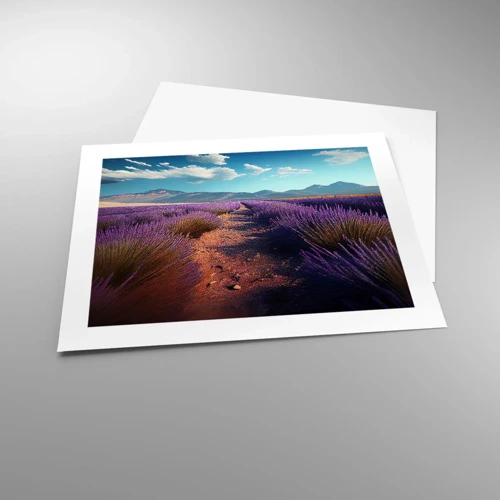 Poster - Fragrant Fields - 50x40 cm