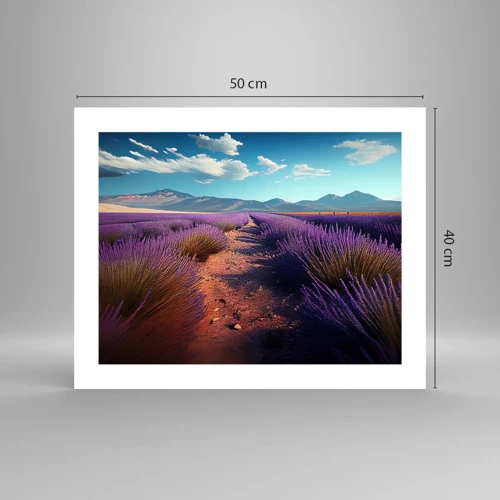 Poster - Fragrant Fields - 50x40 cm