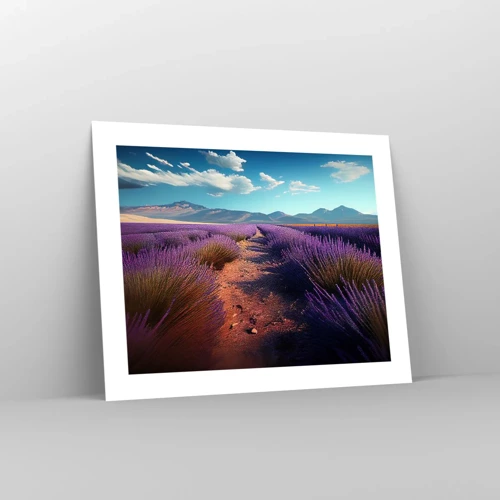 Poster - Fragrant Fields - 50x40 cm