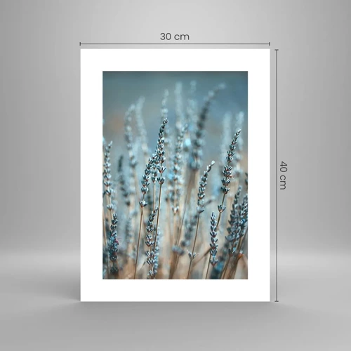 Poster - Fragrant Grass - 30x40 cm