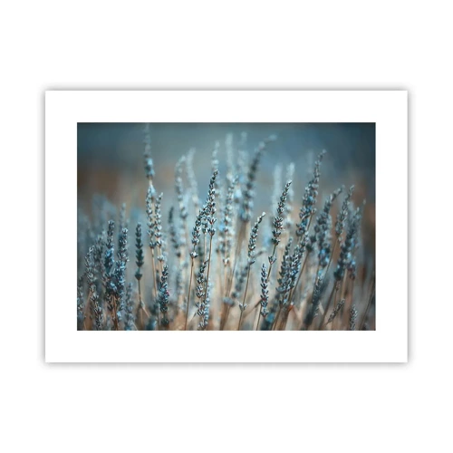 Poster - Fragrant Grass - 40x30 cm