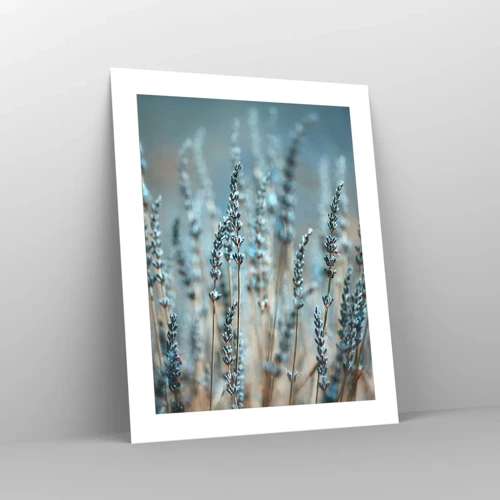 Poster - Fragrant Grass - 40x50 cm