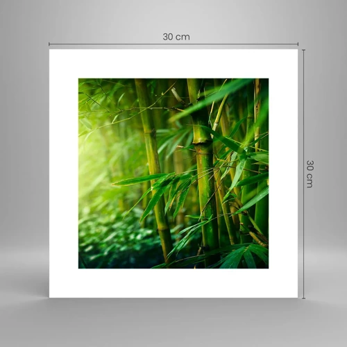 Poster - Getting to Know the Green - 30x30 cm