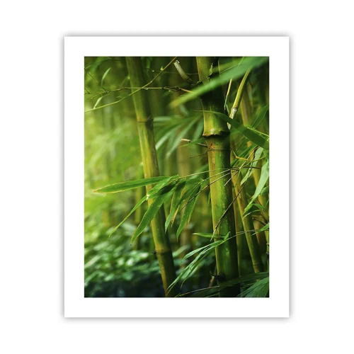 Poster - Getting to Know the Green - 40x50 cm