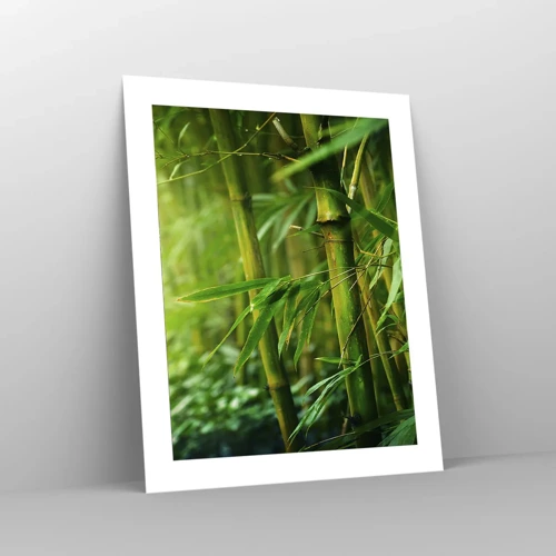 Poster - Getting to Know the Green - 40x50 cm