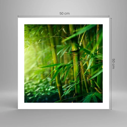 Poster - Getting to Know the Green - 50x50 cm