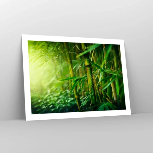Poster - Getting to Know the Green - 70x50 cm