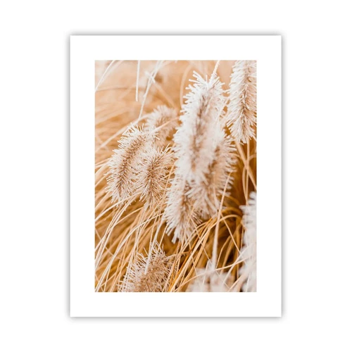 Poster - Golden Rustling of Grass - 30x40 cm