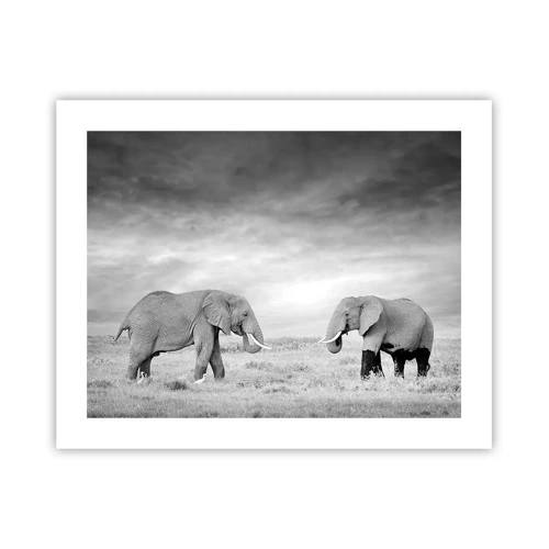 Poster - Grey Is Beautiful - 50x40 cm