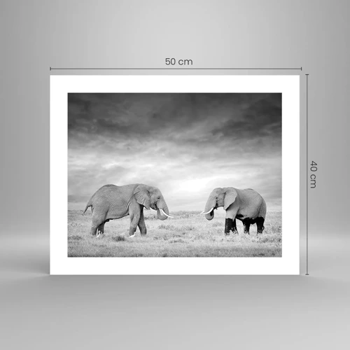 Poster - Grey Is Beautiful - 50x40 cm