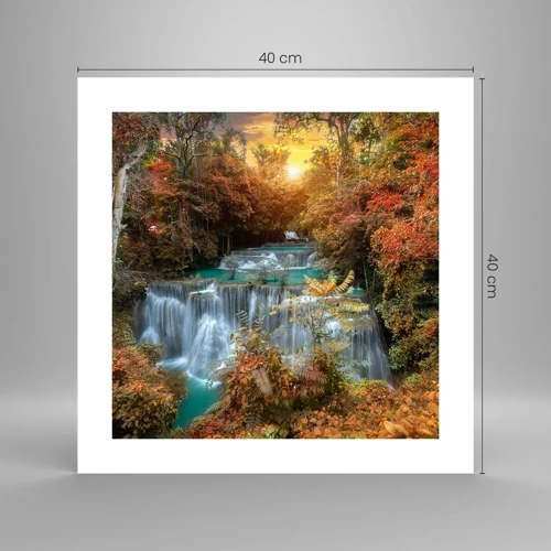 Poster - Hidden Forest Treasure - 40x40 cm