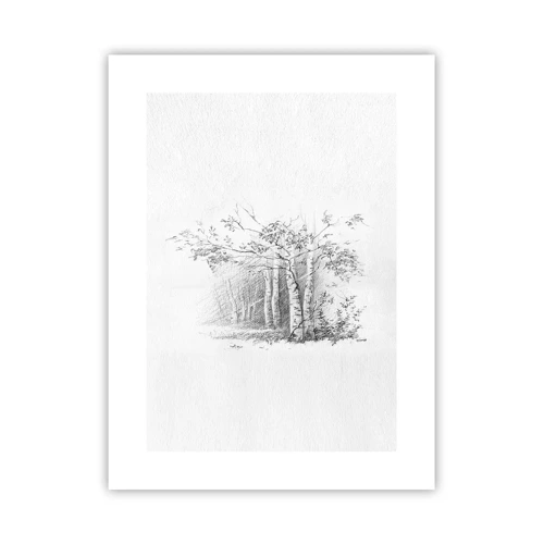 Poster - Holiday of Birch Forest - 30x40 cm