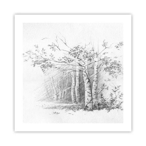 Poster - Holiday of Birch Forest - 50x50 cm