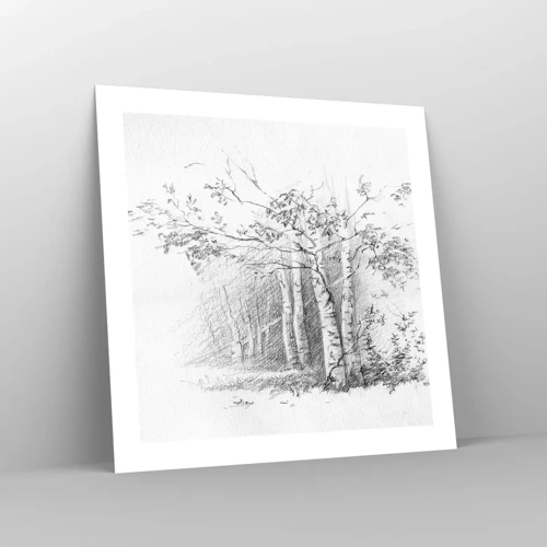 Poster - Holiday of Birch Forest - 50x50 cm