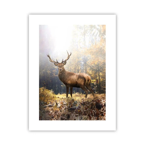 Poster - In Full Majesty - 30x40 cm