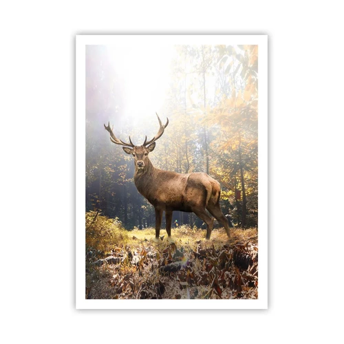 Poster - In Full Majesty - 70x100 cm