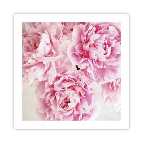 Poster - In Pink  Splendour - 50x50 cm