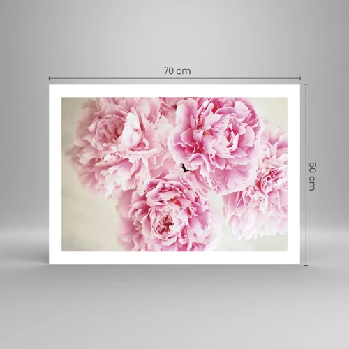Poster - In Pink  Splendour - 70x50 cm