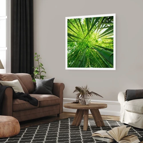 Poster - In a Bamboo Forest - 30x30 cm