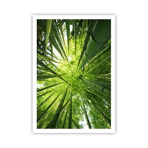 Poster - In a Bamboo Forest - 70x100 cm