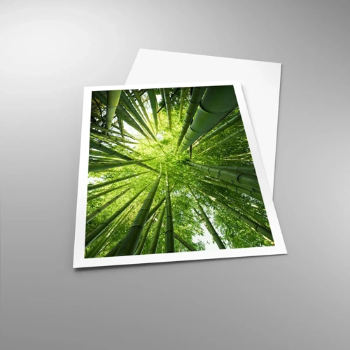 Poster - In a Bamboo Forest - 70x100 cm