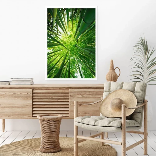 Poster - In a Bamboo Forest - 70x100 cm