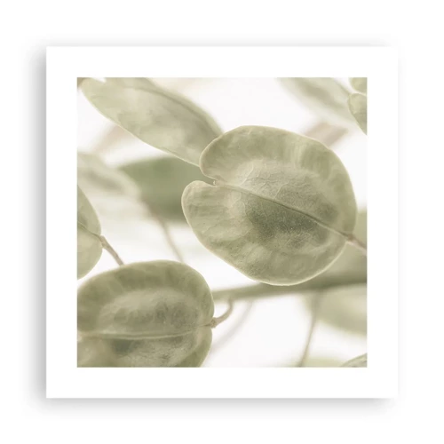 Poster - In the Beginning There Were Leaves… - 40x40 cm