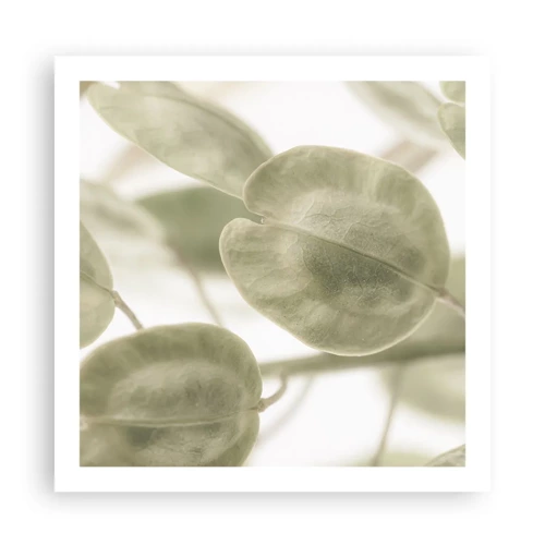 Poster - In the Beginning There Were Leaves… - 60x60 cm