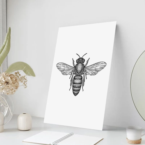 Poster - Insect Portrait - 40x50 cm