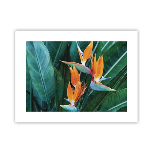 Poster - Is It a Flower or a Bird? - 40x30 cm